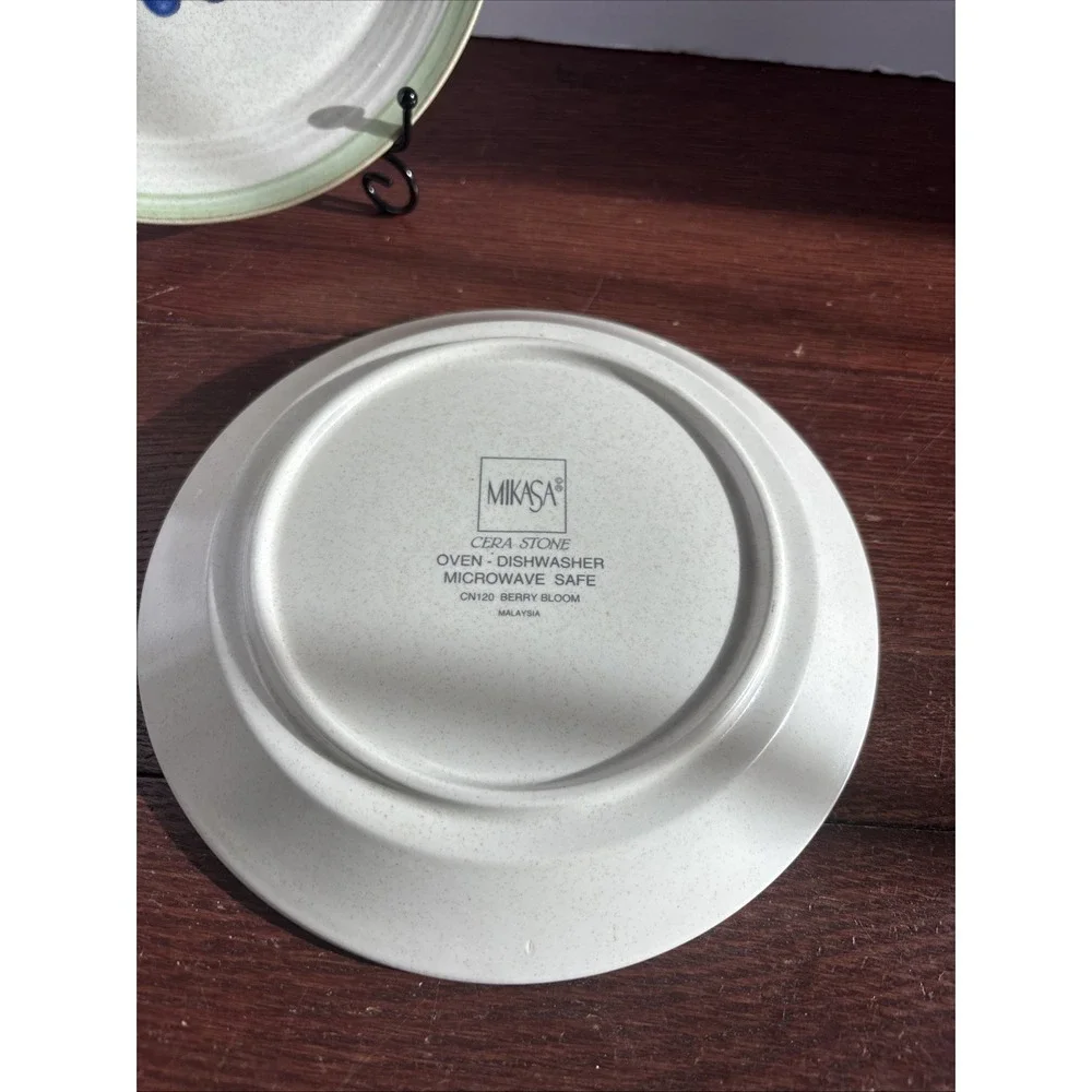Cera Stone from Mikasa CN120 Berry Bloom Two Luncheon Salad Plates Red Blue‎